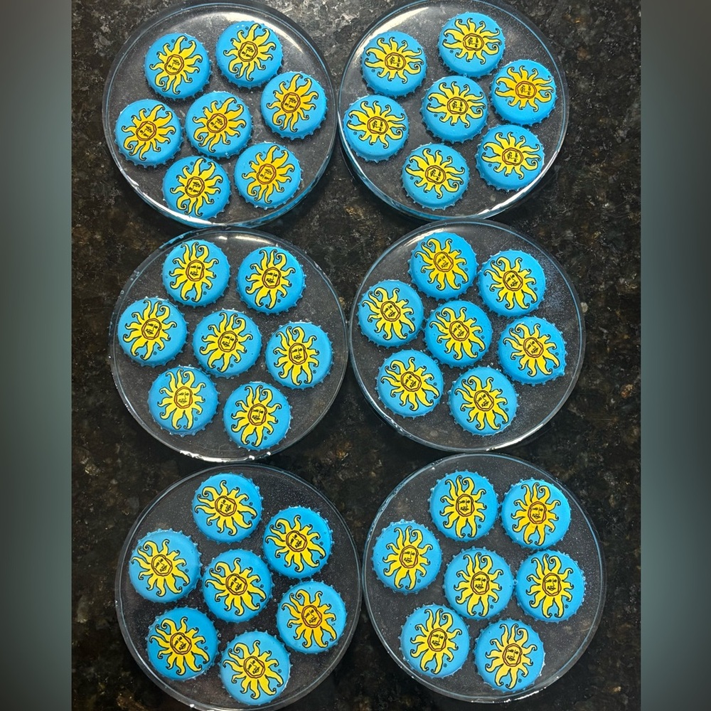 Set of 6 Coasters- Handmade with Resin & Oberon Beer caps